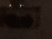 SurveyImage_14_03.png