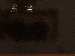 SurveyImage_16_03.png