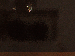 SurveyImage_18_03.png