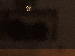SurveyImage_21_03.png