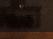 SurveyImage_24_03.png