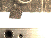 SurveyImage_29_01.png