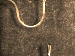 SurveyImage_29_03.png