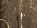 SurveyImage_29_04.png