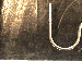 SurveyImage_01_02.png
