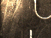 SurveyImage_01_03.png
