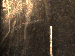 SurveyImage_01_04.png