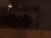 SurveyImage_10_03.png