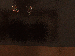 SurveyImage_12_03.png