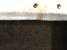 SurveyImage_12_06.png