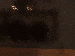 SurveyImage_14_03.png