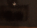 SurveyImage_18_03.png