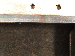 SurveyImage_18_06.png