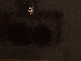 SurveyImage_20_03.png