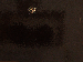 SurveyImage_21_03.png