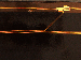SurveyImage_23_04.png