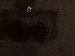 SurveyImage_24_03.png