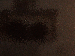 SurveyImage_29_03.png