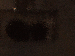 SurveyImage_08_03.png