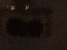 SurveyImage_12_03.png