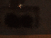 SurveyImage_19_03.png