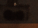SurveyImage_23_03.png