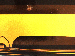 SurveyImage_24_02.png