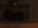 SurveyImage_24_03.png