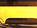 SurveyImage_26_02.png