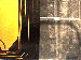 SurveyImage_28_02.png
