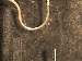 SurveyImage_29_03.png