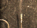 SurveyImage_29_04.png