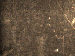 SurveyImage_29_05.png