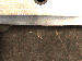 SurveyImage_29_06.png