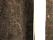 SurveyImage_30_03.png