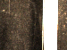 SurveyImage_30_04.png
