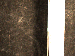 SurveyImage_30_05.png