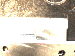 SurveyImage_01_01.png