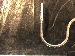 SurveyImage_01_02.png