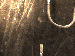 SurveyImage_01_03.png