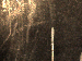 SurveyImage_01_04.png