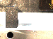 SurveyImage_02_01.png