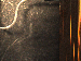 SurveyImage_02_03.png