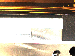 SurveyImage_05_01.png