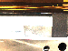 SurveyImage_09_01.png