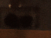 SurveyImage_10_03.png