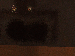 SurveyImage_12_03.png