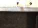 SurveyImage_12_06.png