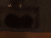SurveyImage_13_03.png
