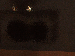 SurveyImage_16_03.png